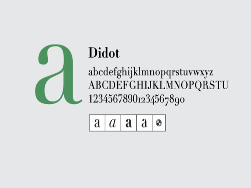 Didot Font Download