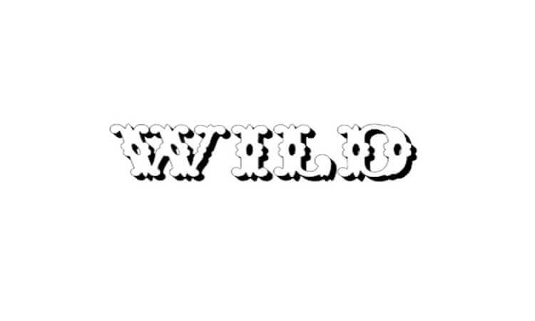 Wild West by West Wind Fonts