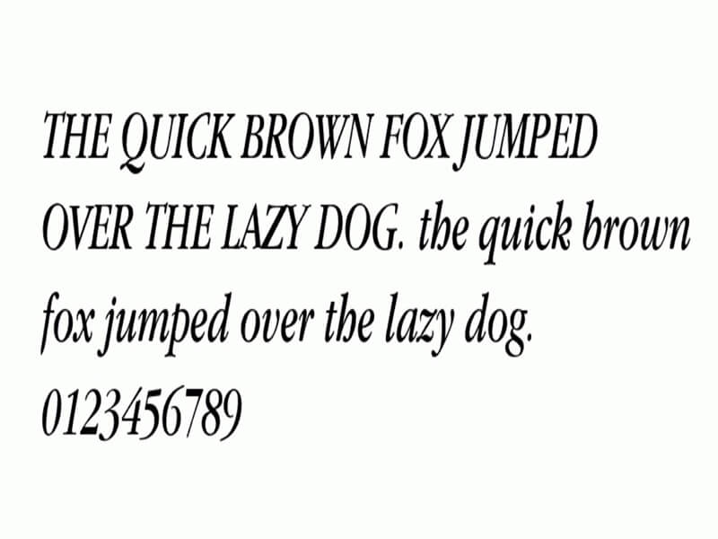 Apple Garamond Italic Font Download