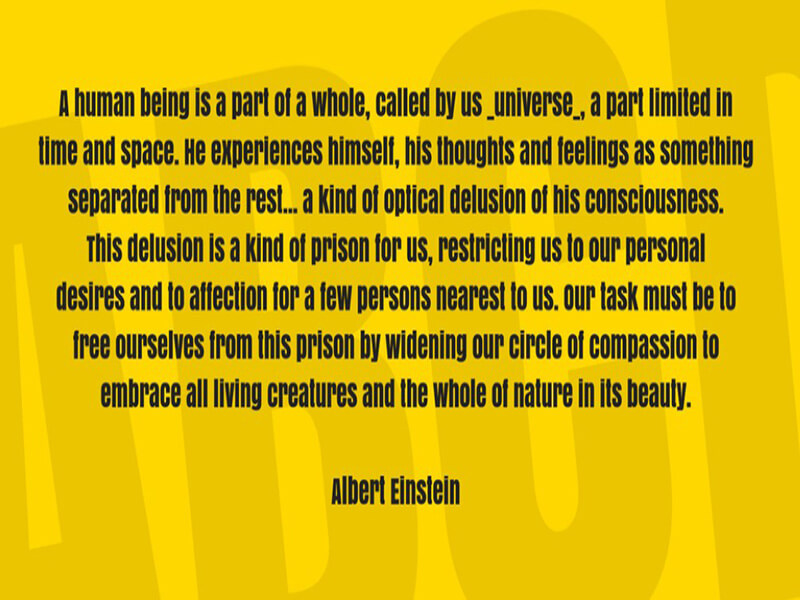 Einstein Lesson Anton Font