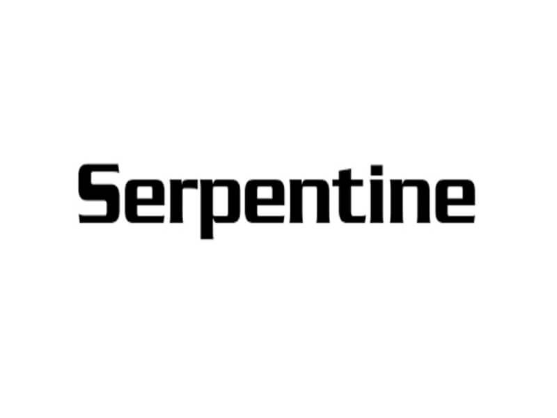 Serpentine Font Family Free Download