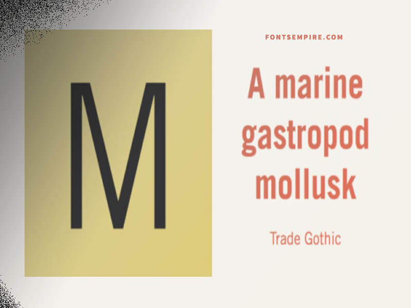 Trade Gothic Font Family Free Download