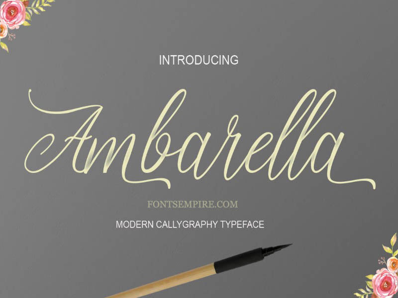 Ambarella Font Family Free Download