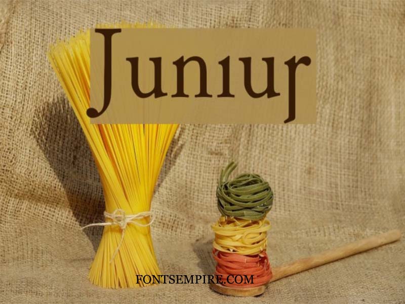 Junius Font Family Free Download