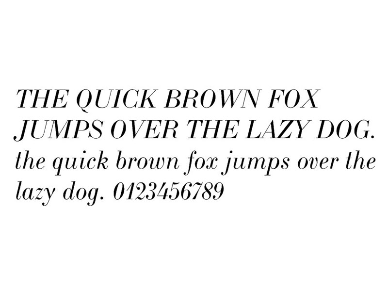 Lakers Font Family Download