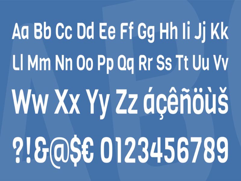 Viga Font Free Download