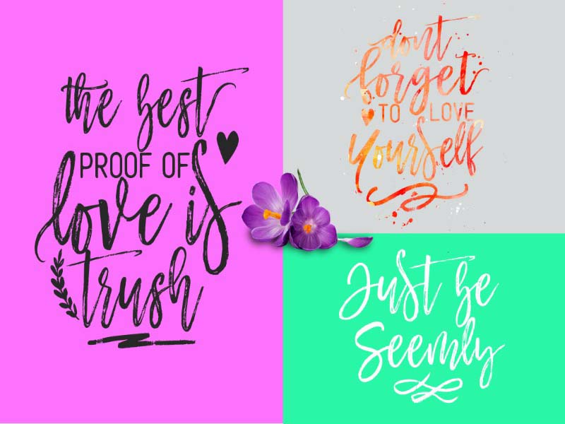 Mustache Script Font Family Download