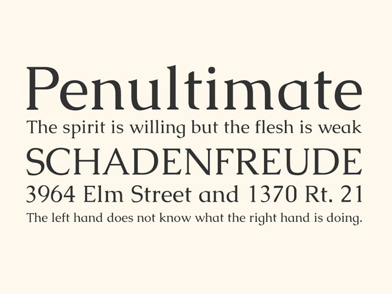 Caudex Font Free Download