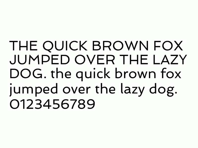 Spinnaker Font Family Download