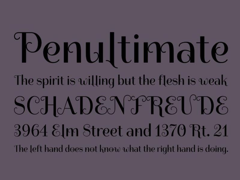 Spirax Font Family Download