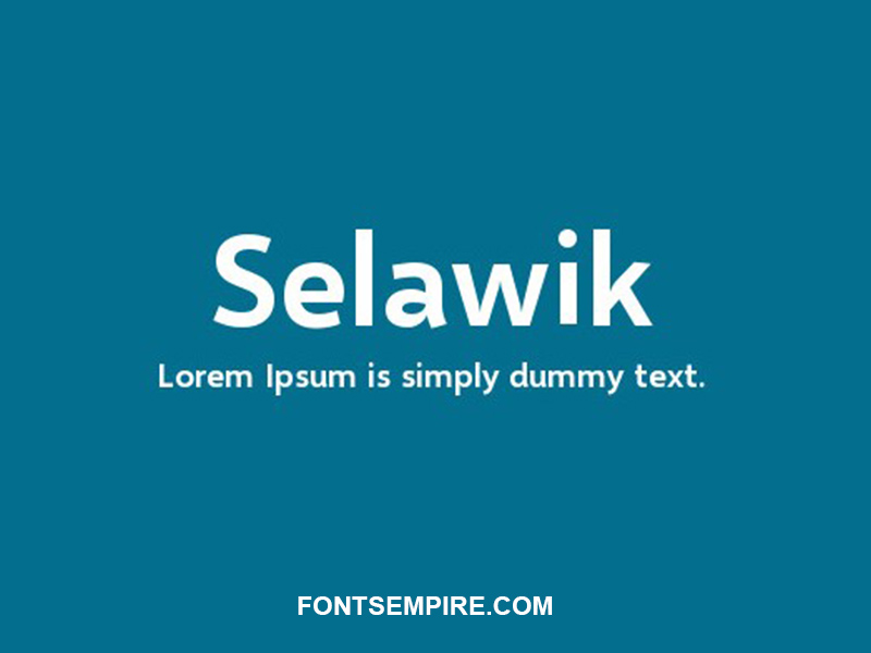 Selawik Font Family Free Download