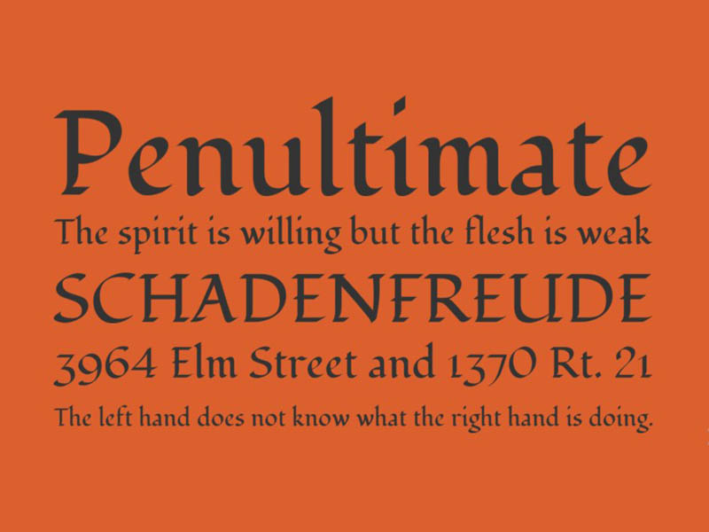 Fondamento Font Family Download