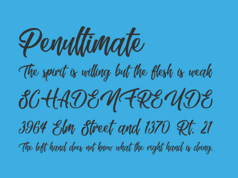 Skating Move Font Family Download