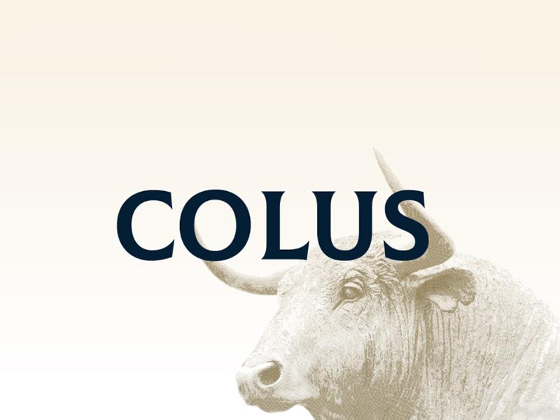 Colus Font Family Free Download