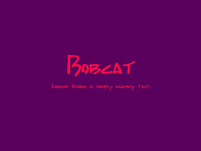 Bobcat Font Family Free Download