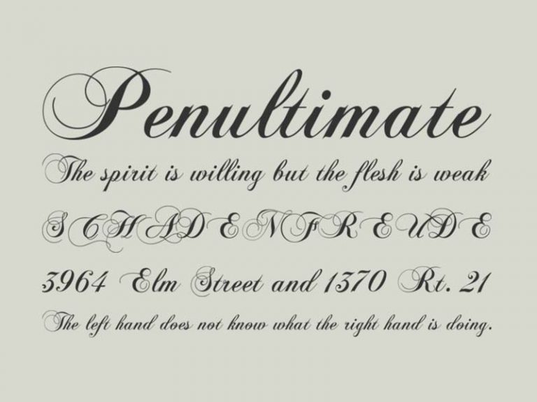 chopin script font download for after effects
