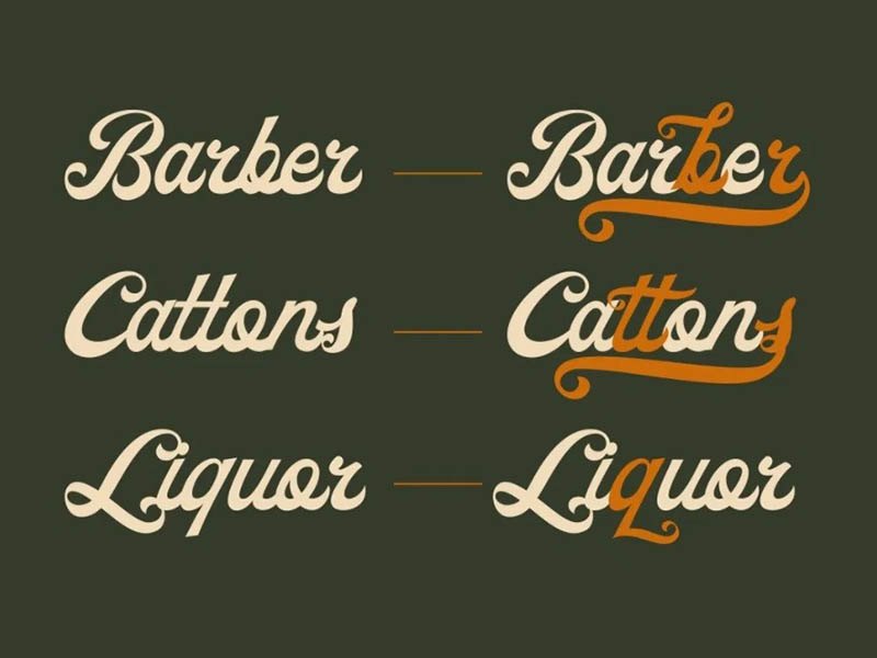 Ricota Font Family Download