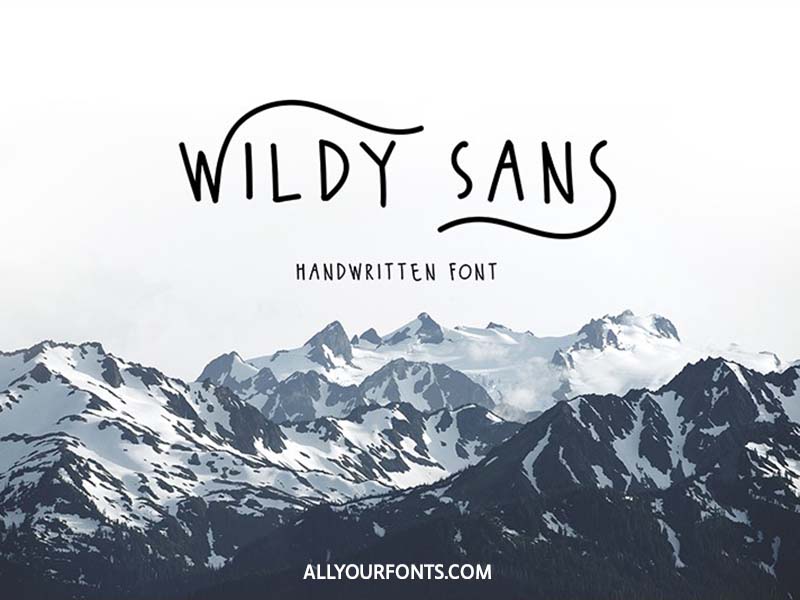 Wildy Sans Font Family Free Download
