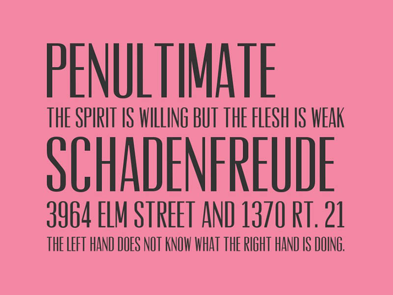 Vevey Font Family Download